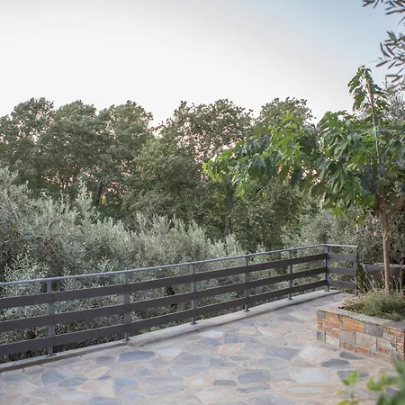 Prázdninový dům Fofi's House