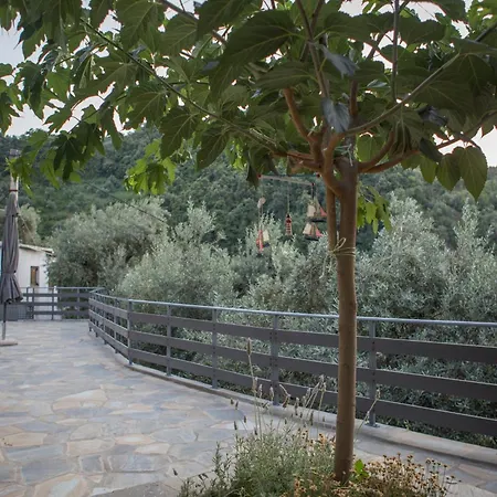 Prázdninový dům Fofi's House *