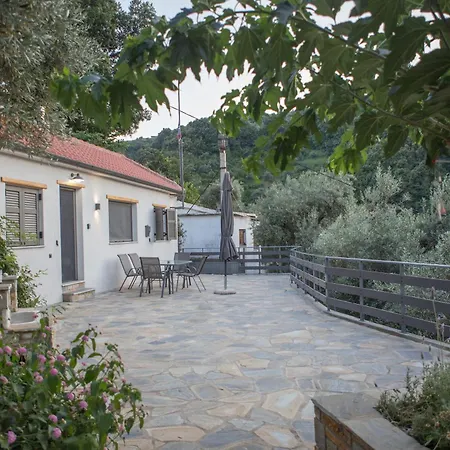 Case de vacanță Fofi's House