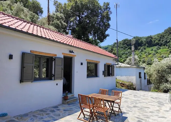 Fofi's House Case de vacanță *