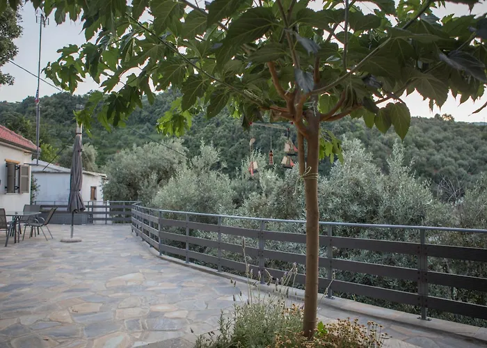 Case de vacanță Fofi's House *